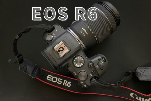 Canon（キヤノン） EOS R6 レンズキット RF24-105 IS STMのレビュー 